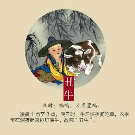 地主有财地十块,一亩良田四十颗指是猜一最佳准确生肖与警惕虚假宣传-全面释义、科学解答解释落实